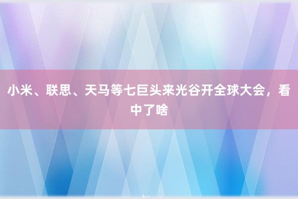 小米、联思、天马等七巨头来光谷开全球大会，看中了啥